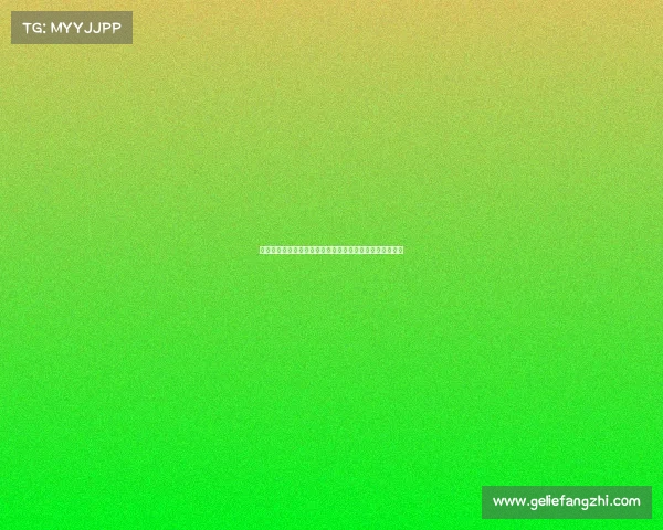 拳击赛事导航宝典最新比赛信息全面指南助您畅享擂台激情